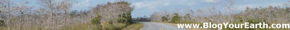 BlogYourEarth_Everglades_Strasse.jpg